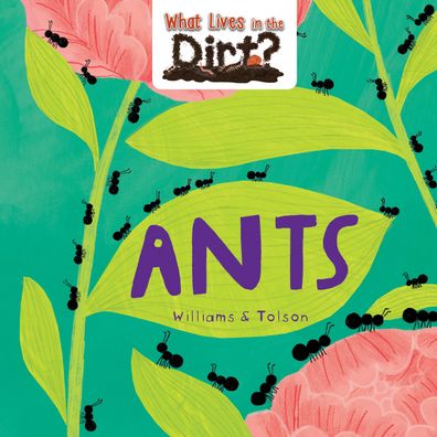 Cover for Susie Williams · Ants (Book) (2020)