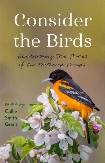 Cover for Consider the Birds: Heartwarming True Stories of Our Feathered Friends (Paperback Book) (2026)