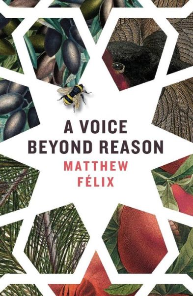 Cover for Matthew Félix · A Voice Beyond Reason (Taschenbuch) (2016)