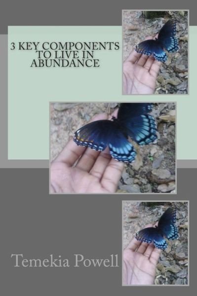 Cover for Ms Temekia Powell · 3 Key Components to Living in Abundance (Paperback Bog) (2015)