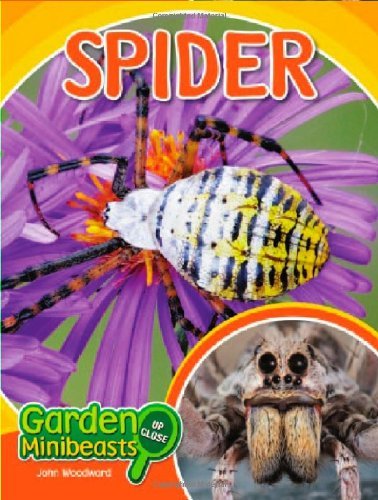 Cover for John Woodward · Spider (Garden Minibeasts Up Close) (Hardcover bog) (2010)