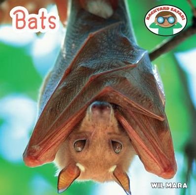 Cover for Wil Mara · Bats (Gebundenes Buch) (2014)