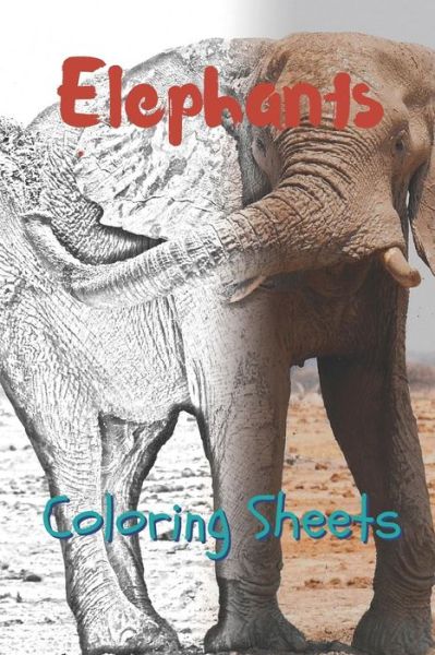 Cover for Julian Smith · Elephant Coloring Sheets (Pocketbok) (2019)