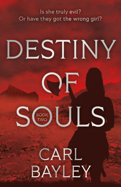 Cover for Carl Bayley · Destiny of Souls - The Souls Series (Paperback Book) (2025)