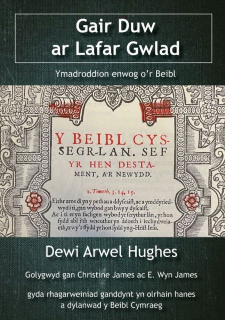 Gair Duw ar Lafar Gwlad - Ymadroddion enwog o'r Beibl - Dewi Arwel Hughes - Böcker - Cyhoeddiadau'r Gair - 9781859949955 - 15 september 2024