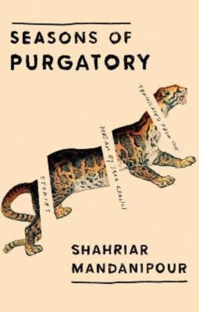 Seasons of Purgatory - Shahriar Mandanipour - Books - Bellevue Literary Press - 9781942658955 - March 10, 2022