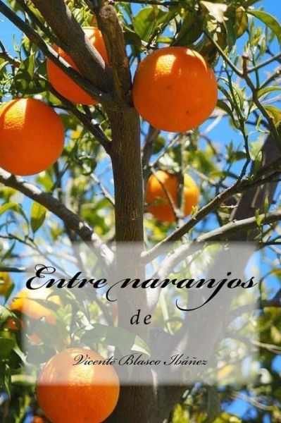 Entre naranjos - Vicente Blasco Ibanez - Books - Createspace Independent Publishing Platf - 9781984267955 - January 26, 2018