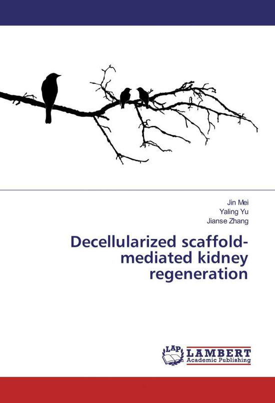 Cover for Mei · Decellularized scaffold-mediated ki (Book)