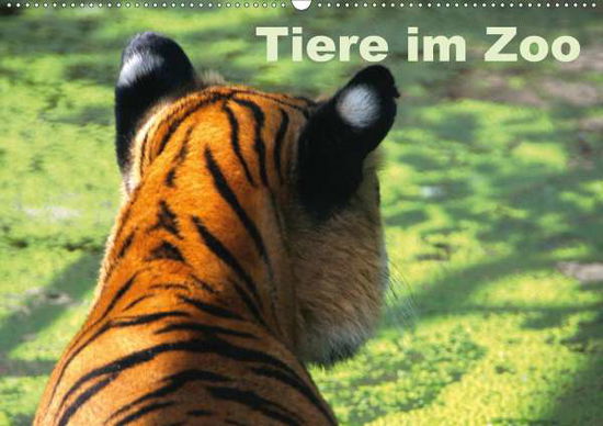 Cover for Kügler · Tiere im Zoo (Wandkalender 2020 (Book)