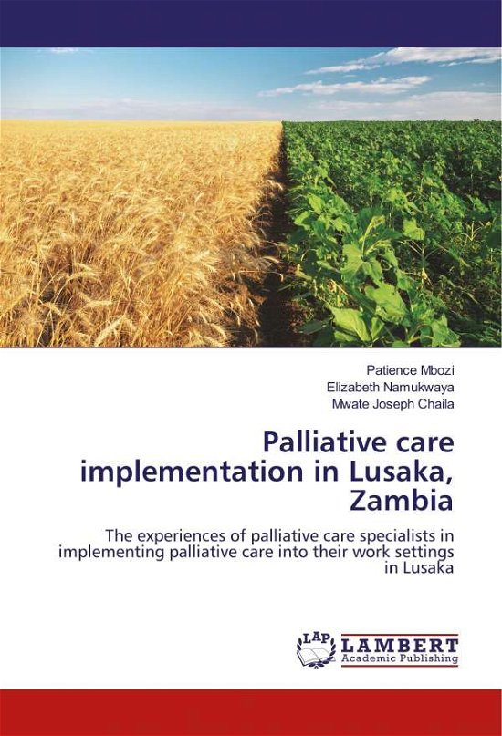 Cover for Mbozi · Palliative care implementation in (Buch) (2020)