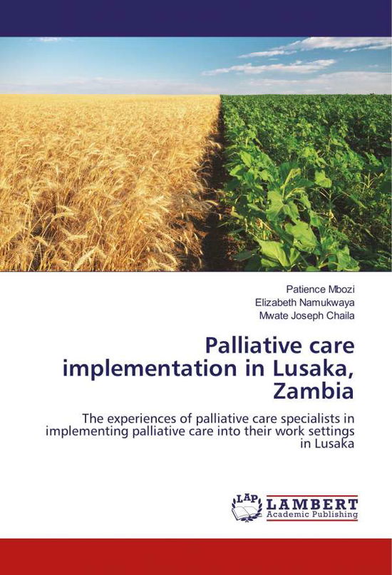 Cover for Mbozi · Palliative care implementation in (Book) (2020)