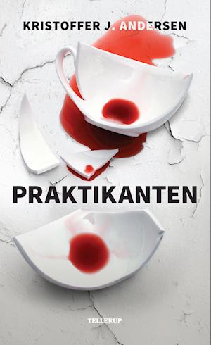 Cover for Kristoffer J. Andersen · Praktikanten (Hardcover Book) [1º edição] (2023)