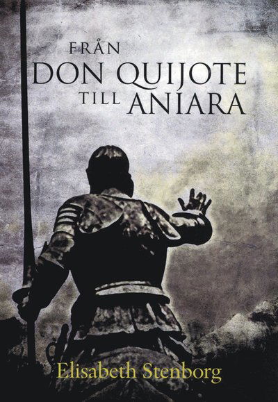 Cover for Elisabeth Stenborg · Från Don Quijote till Aniara (Paperback Book) (2012)