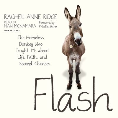 Cover for Rachel Anne Ridge · Flash (CD) (2015)