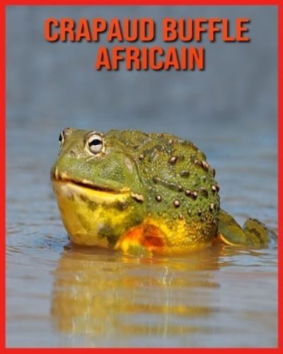 Cover for Linda Davis · Crapaud Buffle Africain (Paperback Book) (2021)