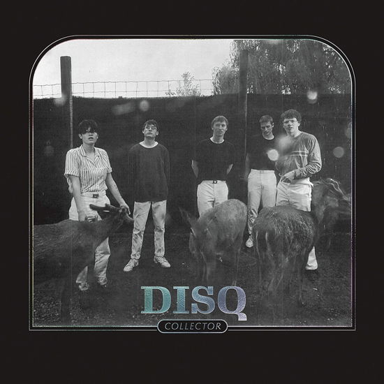 Cover for Disq · Collector (Ltd Transparent Blue Vinyl) (LP) [Coloured edition] (2020)