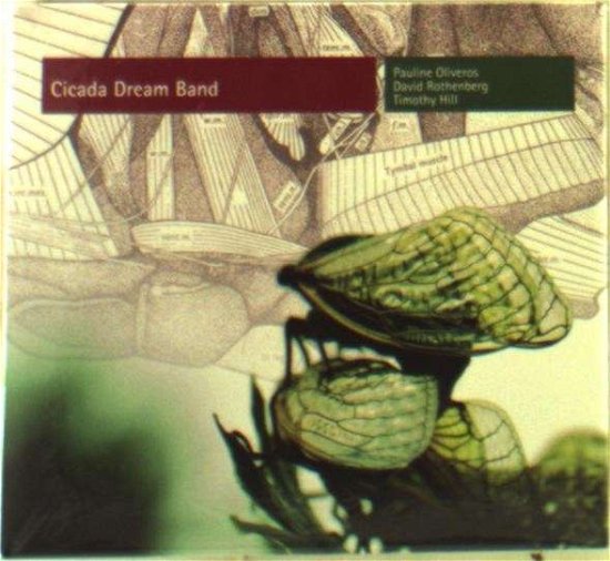 Cover for Pauline Oliveros · Cicada Dream Band (CD) (2014)