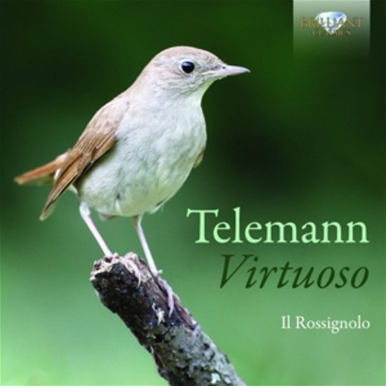Cover for Telemann / Ens Il Rossignolo · Virtuoso (CD) (2014)