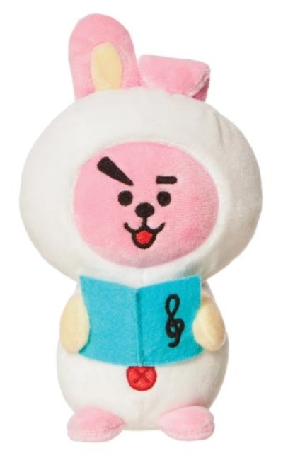 Cover for Bt21 · BT21 Cooky Winter Plush 6 Inch (PLYS)