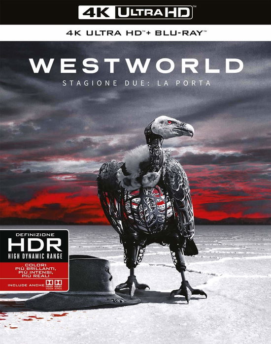 Cover for Westworld · Stagione 2 (Blu-ray) (2018)