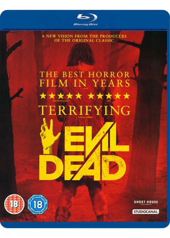 Cover for Evil Dead (Blu-Ray) (2013)