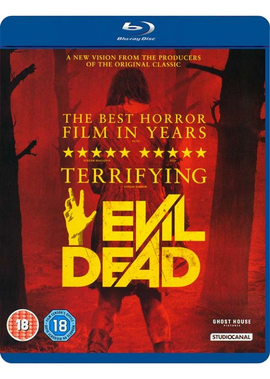Cover for Evil Dead (Blu-ray) (2013)