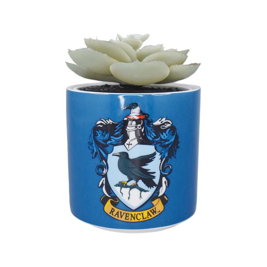 Cover for Harry Potter: Half Moon Bay · HARRY POTTER - Ravenclaw - Faux Plant Pot 6.5cm (Legetøj)