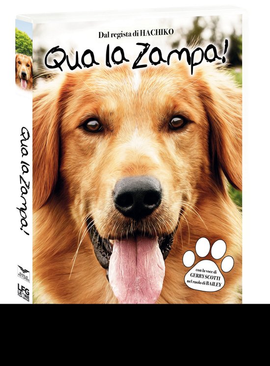 Cover for Josh Gad,betty Gilpin,dennis Quaid · Qua La Zampa 2 - Un Amico E' Per Sempre (DVD) (2020)