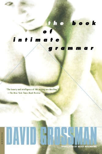 Cover for David Grossman · The Book of Intimate Grammar: A Novel (Paperback Bog) [First edition] (2002)