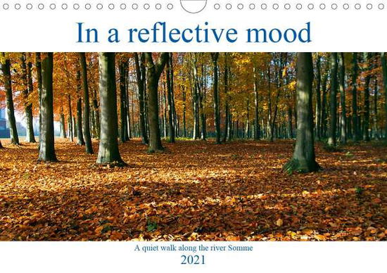 Cover for Hewlett · In a reflective mood (Wall Cale (Book)