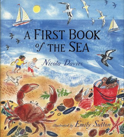 Cover for Nicola Davies · A First Book of the Sea (Hardcover Book) (2018)