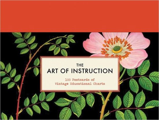 The Art of Instruction: 100 Postcards, - Chronicle Books - Livros - Chronicle Books - 9781452105956 - 10 de junho de 2024