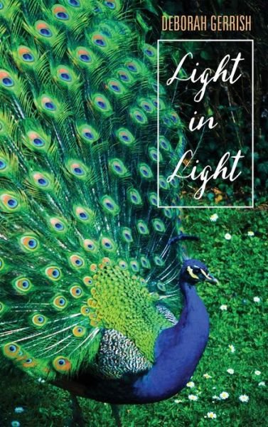 Cover for Deborah Gerrish · Light in Light (Gebundenes Buch) (2017)