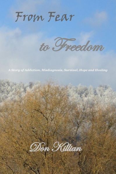 Cover for Mr Donald L Killian · From Fear to Freedom: a Story of Addiction, Misdiagnosis, Survival, Hope and Healing (Paperback Book) (2015)