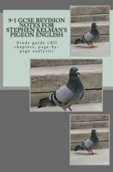 Cover for Joe Broadfoot · 9-1 GCSE REVISION NOTES for STEPHEN KELMAN'S PIGEON ENGLISH (Paperback Bog) (2016)
