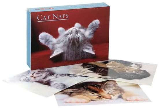 Cover for Sellers Publishing · Cat Naps Boxed Notecards (Hardcover Book) [Box Ncr edition] (2005)