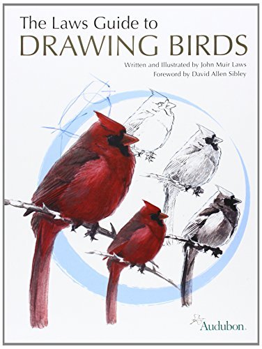Cover for John Muir Laws · The Laws Guide to Drawing Birds (Paperback Bog) (2015)