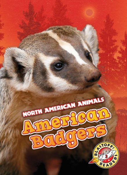 Cover for Rebecca Sabelko · American Badgers (Hardcover Book) (2018)