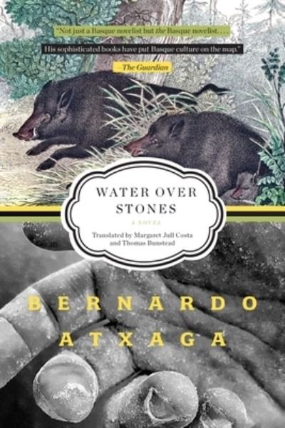 Cover for Bernardo Atxaga · Water over Stones: A Novel (Paperback Book) (2022)