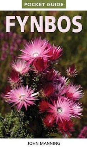 Pocket Guide Fynbos - Pocket Guide - John Manning - Kirjat - Penguin Random House South Africa - 9781775846956 - perjantai 19. kesäkuuta 2020