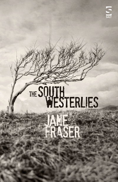 The South Westerlies - Jane Fraser - Books - Salt Publishing - 9781784631956 - June 15, 2019