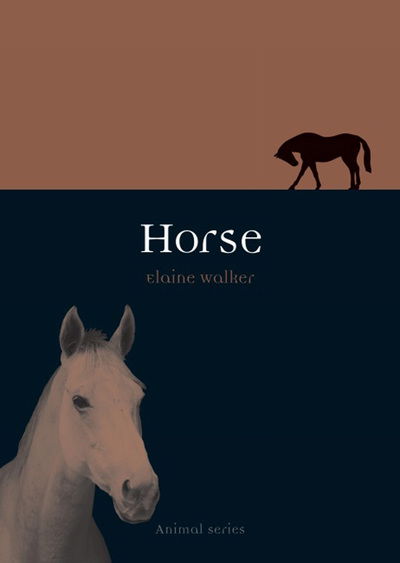 Cover for Elaine Walker · Horse - Animal Series (Paperback Book) (2008)