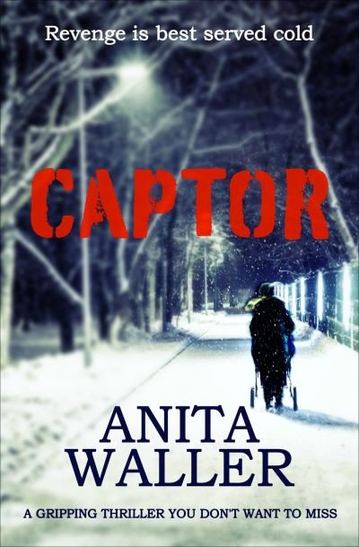 Cover for Anita Waller · Captor (Pocketbok) (2018)