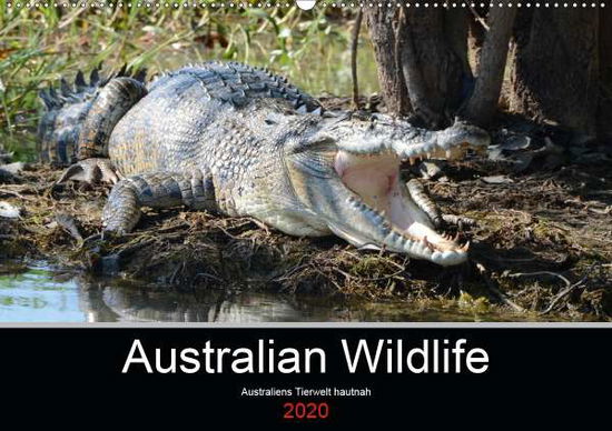 Cover for Brown · Australian Wildlife (Wandkalender (Buch)