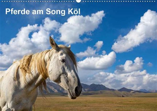 Cover for Rusch · Pferde am Song Köl (Wandkalender (Bog)