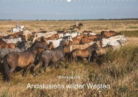 Cover for Gumm · Pferde - Andalusiens wilder Westen (Book)