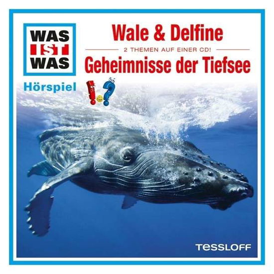 Cover for Was Ist Was · Folge 13: Wale &amp; Delfine / Geheimnis Tiefsee (CD) (2013)