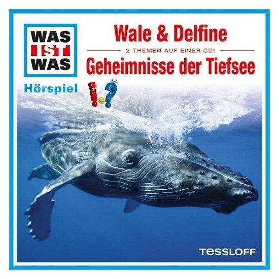 Cover for Was Ist Was · Folge 13: Wale &amp; Delfine / Geheimnis Tiefsee (CD) (2013)