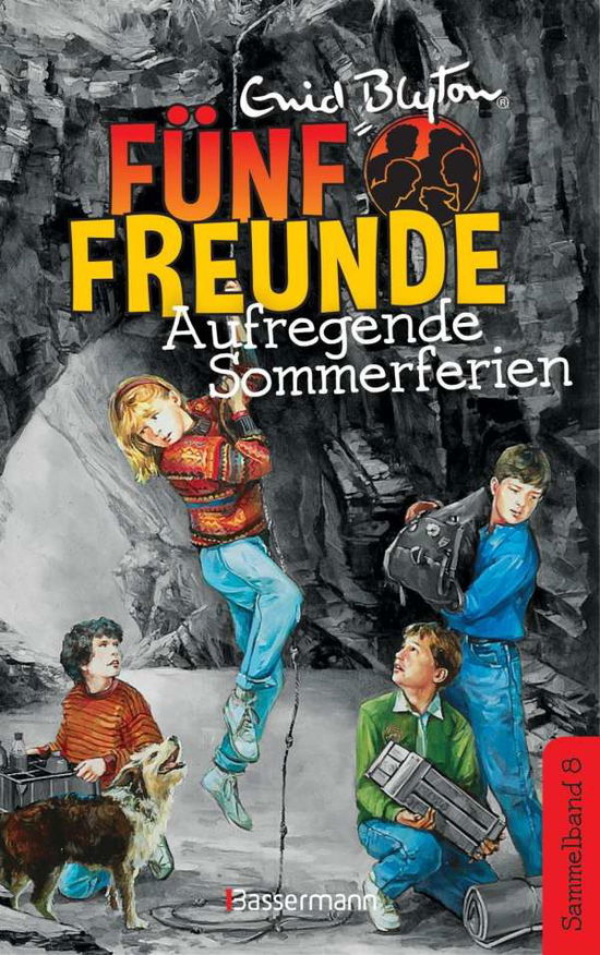 Cover for Blyton · Fünf Freunde - Aufregende Sommer (Book)