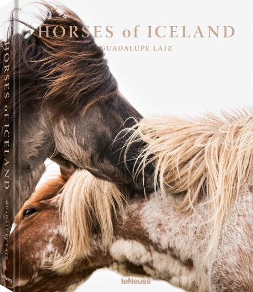 Cover for Guadalupe Laiz · Horses of Iceland (Hardcover bog) (2019)